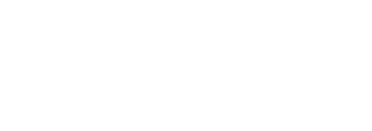 logo acer w